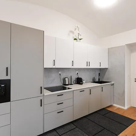 Διαμέρισμα Modern Luxury With Garden Πράγα