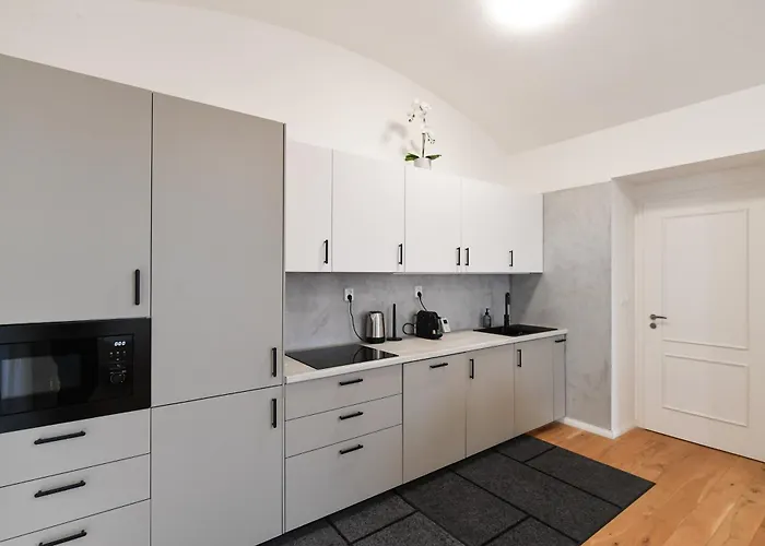 Διαμέρισμα Modern Luxury With Garden Πράγα